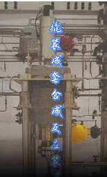 自動(dòng)化撬裝成套合成反應(yīng)裝置